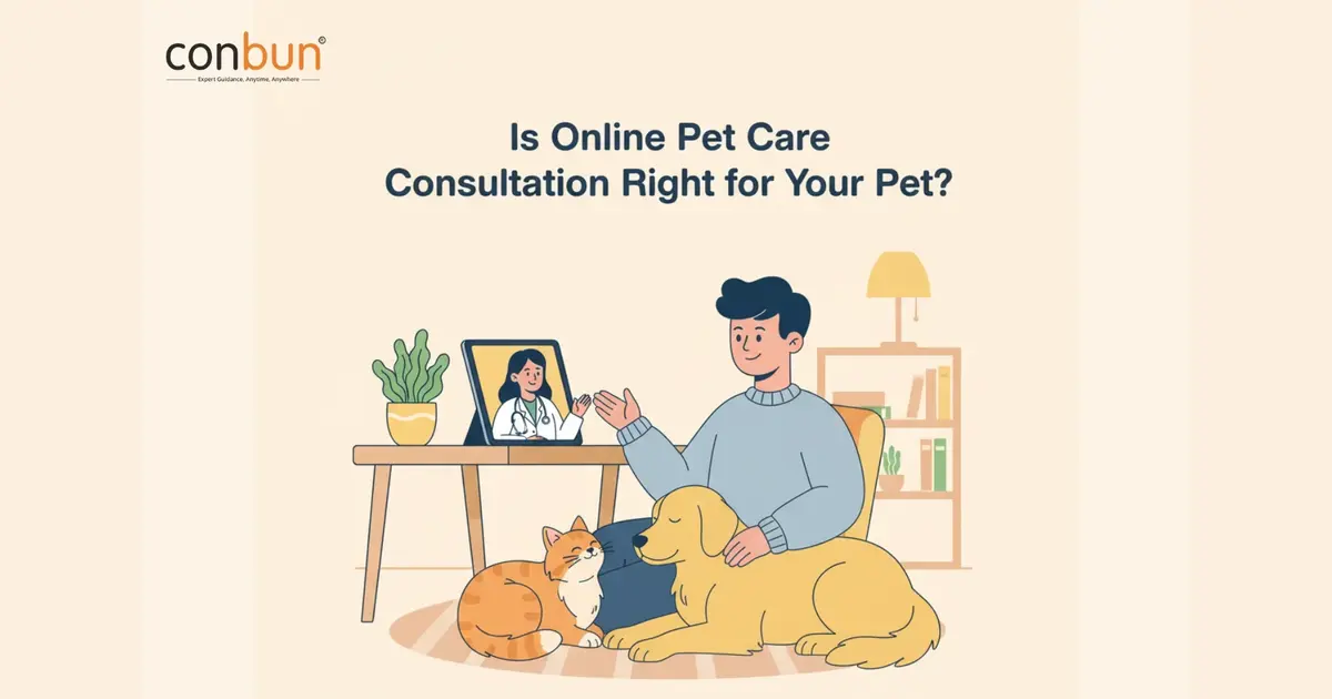 Is Online Pet Care Consultation Right for Your Pet?